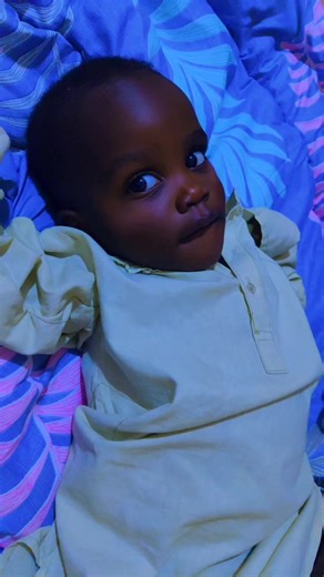 Baby Shark: Fun Interactions and Sweet Farewells