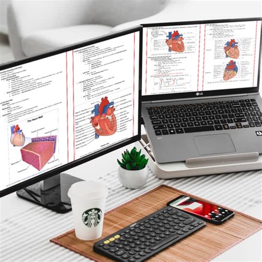 MedStudentNotes on Instagram: "🩺💡FREE High-Yield Medical Study Notes, Written By Doctors! 💯🧑🏻‍⚕️⁠ ⁠ 🩺Our Study Notes Save You Time, Reduce Burnout Risk, AND Improve Your Exam Results!🎓⁠ ⁠ 👍An ESSENTIAL Resource for ALL Medical, MBBS, MD, & MBChB students, as well as PA, Nursing, Pre-Med, USMLE & Allied Health Students! 💊⁠ ⁠ 👉COVERING ALL BODILY-SYSTEMS & TOPICS: ⁠ ✅ Anatomy, ⁠ ✅ Physiology, ⁠ ✅ Pathophysiology, ⁠ ✅ Pathology, &⁠ ✅ Therapeutic Principles!⁠ ✅ (+ Pharmacology, Genetics, B