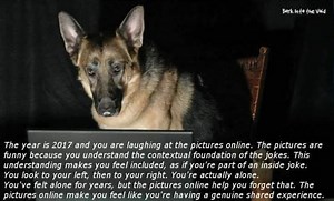 The Year Is 2016 And You Are Laughing At The Pictures Online | Know Your Meme