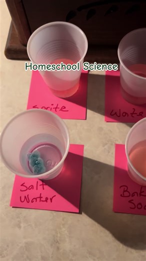 Scientific method experiment. What happens to gummy bears in different liquids? #science #homeschool #learnontiktok #school