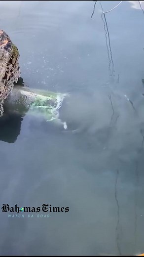 57K views · 150 reactions | Sent to The Bahamas Times Morning The...