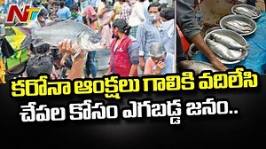 Public in Queue for Non Veg, not maintaining social distancing In Vijayawada #Vijayawada #CoronaVirus #NTVNews #NTVTelugu | Ntv Telugu