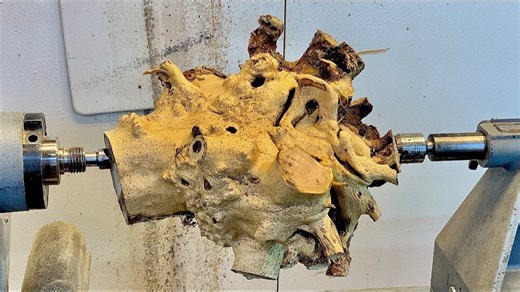 Who would believe this came from an old root