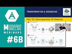 Week #6B: Transformation and Sequencing 1/3: Transformation of E. coli: Electroporation & Chemical