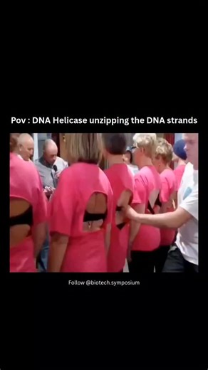 Saksham Bhatia on Instagram: "😂Think of DNA like a zipper 🧬. DNA helicase is the enzyme that unzips this zipper during DNA replication (and sometimes repair). What exactly does helicase do? DNA is double-stranded, held together by hydrogen bonds between base pairs (A–T, G–C). Helicase moves along the DNA and breaks these hydrogen bonds. This separates the two strands, creating a replication fork (Y-shaped region). How does helicase unzip DNA? Binds to DNA at the origin of replication Uses ATP