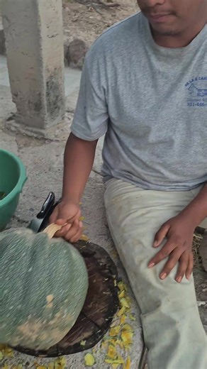 Exploring the Treasure of Dulse Seaweed