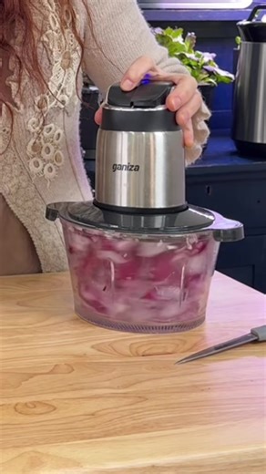 Compact Ganiza Food Processor for Glass Kitchen Prep