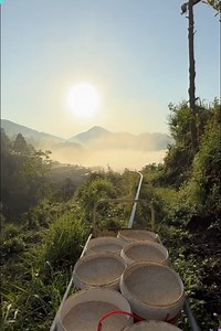 25K views · 169 reactions | This Farmer Built a Chicken Train  You Won’t Believe Why! | Creative Inspiration For You | Facebook