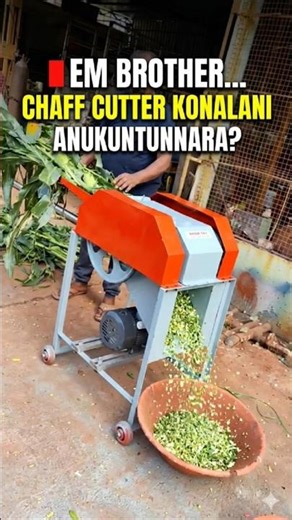 This 3HP Chaff Cutter Will Transform Your Goat & Cow Farm! 🐐🐄 | Farmers Are Loving It !!!