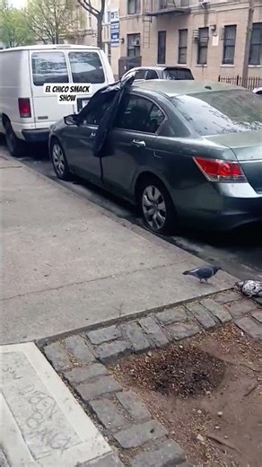 A Better Cheap Window For Your Car! #content #commonsense #shorts