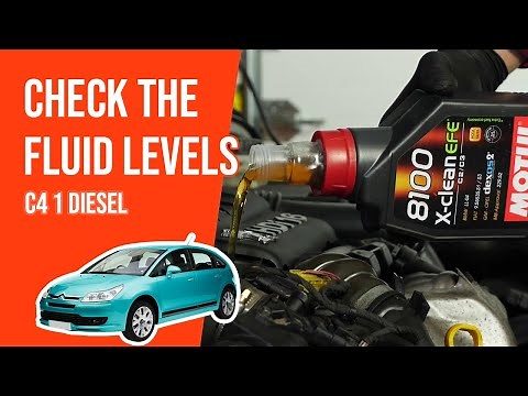 How to check the fluid levels C4 mk1 1.6 HDI 📏