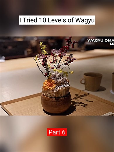 Experiencing 10 Levels of Wagyu Beef Preparation