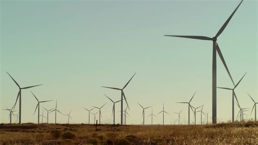 Robots on a mission! 🤖 With wind power gaining traction as promising source of renewable electricity, wind farms have sprung up across the world🌱 However, repairing and maintaining wind turbines can be dangerous and time consuming. A Japanese startup is combining robotics and AI to create a safer, faster way to keep turbines working at peak capacity💡 Find out more in the article! | Japan - The Government of Japan