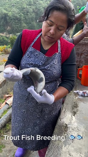 Trout Breeding in Nepal: Sustainable Agriculture Practices