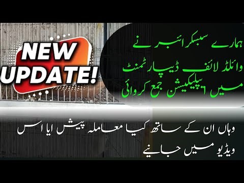 Our subscriber successfully submitted his application regarding pet registration | Wildlife dep.