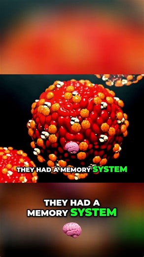 Bacteria's Incredible DNA Memory: Viral Defense System! #shorts
