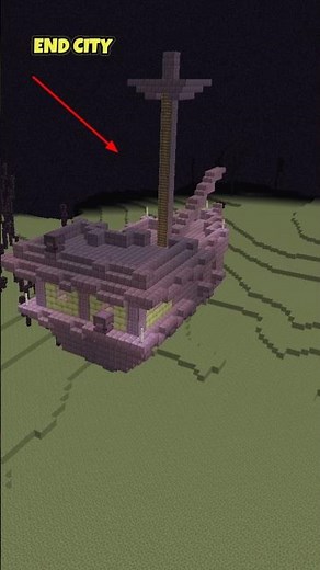 Minecraft Elytra ??