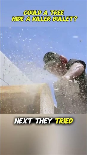 When a Chainsaw Meets a Hidden Bullet... #physics #experiment #science