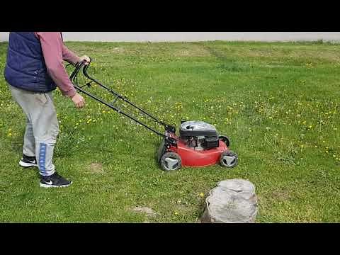 Einhell GC-PM 46S