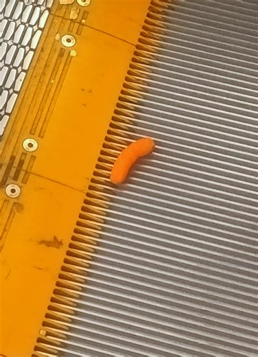 Cheeto en las escaleras: ¿Qué hará ahora?