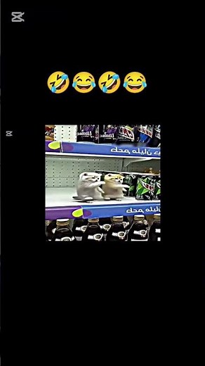 hachimi chimichi Funk😂New trend go viral #funny #viral #viralvideo