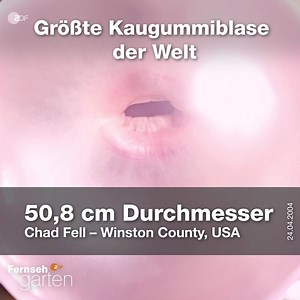 Nach schrägen und scharfen Dingen widmen wir uns am Sonntag ausschließlich den runden. Wir haben uns schon einmal auf die Suche nach Rekorden begeben. | ZDF-Fernsehgarten