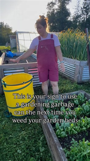 My new favorite gardening product…is a collapsible garbage can!! We move it to each bed while we weed or harvest and it keeps our beds and ground area clean because we now have a space to throw it!! This is our first season using one and I actually love it! Comment “GARBAGECAN” and I’ll send over the link! | Portage View Farm