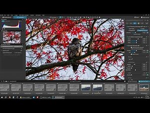 DXO Photolab 8 full edit from raw to complete