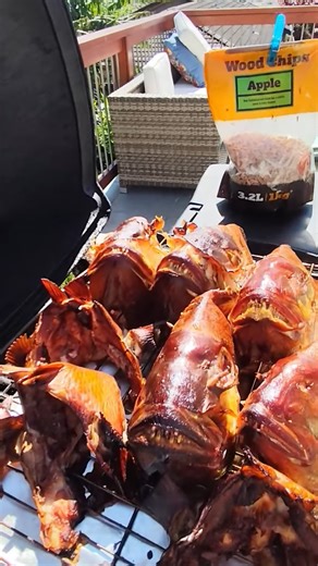 2.9K views · 39 reactions | Waste not, want not. There's still so much meat on the heads and frames of your fish, so why not whack them in the smoker and make a meke feed instead of throwing them away! | The Kai Ika Project | Facebook