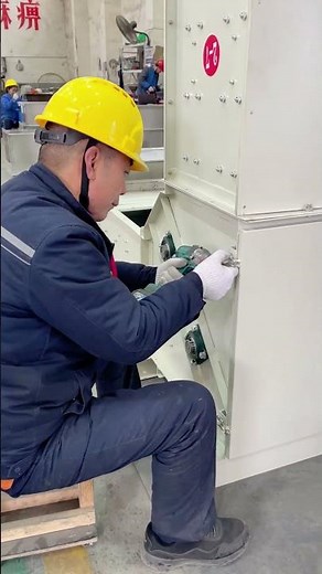 z type conveyor #bucketelevator