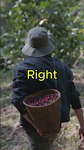 3 Facts About Vietnam That Will Surprise You 🇻🇳