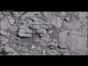 Mars anomalies. A plant ?