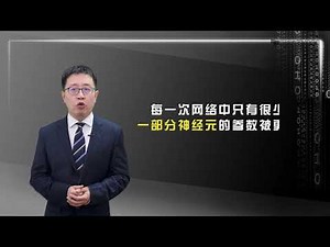 4 6 深度学习（卷积神经网络ALEXNET）