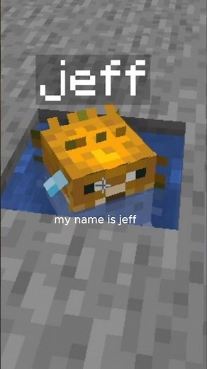 Best Ways to Save Name Tags