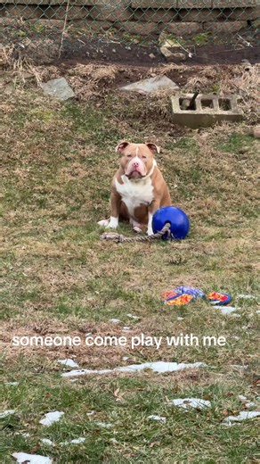 sierra❤️ (@siiiieeerrrraaaaa)’s videos with original sound - sierra❤️