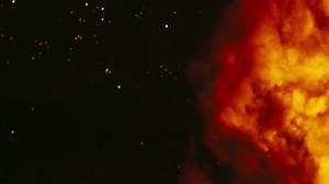 594 reactions · 33 shares | #Oppenheimer is now playing in theatres. Get tickets now to see Cillian Murphy, Emily Blunt, Matt Damon, Robert Downey Jr., & Florence Pugh on the largest screen possible. | Universal Pictures Canada | Facebook