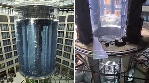 The world’s largest cylindrical aquarium, with 1,500 tropical fish, bursts in Berlin