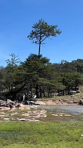 Llegando a la cascada de Santa Gertrudis 🌱⛰️ | La Sierra Del Nayar