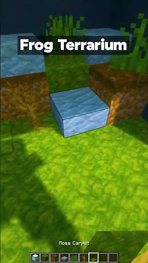 Minecraft Frog Terrarium 🐸