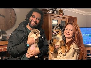 Meet Our Boy KODA SYMBOLISM!!