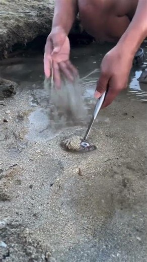 How to Catch Fish Hidden Deep in the Sand | Unique Fishing Technique