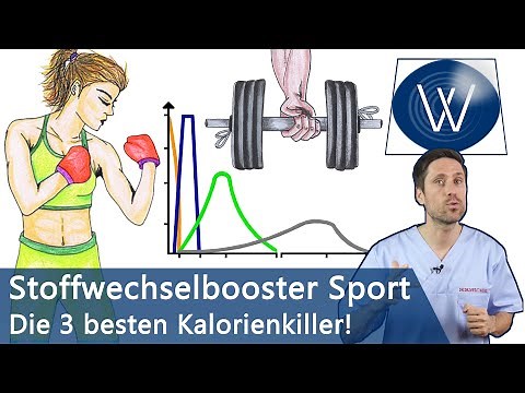 Extreme fat burning: These 3 sports (HIIT, endurance, strength training) burn your fat