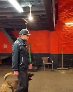 Starting wade on his journey to extreme control. #dannywellsdogtrainer #unleashedk9services #dogtraining #dogtraining #dogsofinstagram #protectiondog | Unleashed - Danny Wells Dog Training