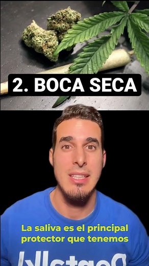 Así afecta a la BOCA FUMAR MARIHUANA o CANNABIS - Efectos del consumo de DROGAS