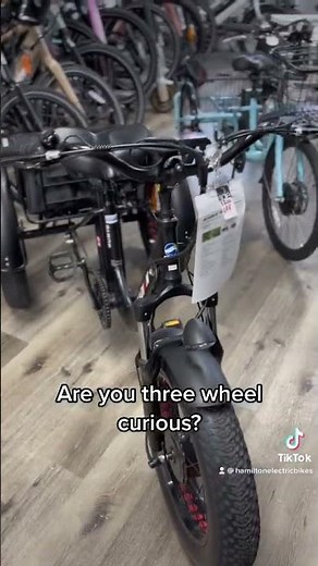 Are you Three Wheel Curious? #ebikes #etrike #tricycle #hamiltonelectricbikes