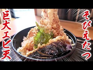 【山口県】宇部市/インパクト抜群！絶品の天丼と最高のうどん！先代の味を守る店の魅力に迫る！#山口県 #宇部市 #天丼 #うどん #はらぺこグルメ道 #山口グルメ #グルメ#山口カフェ #山口ランチ