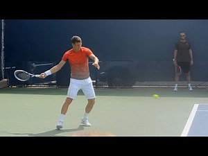Tomas Berdych Forehand and Backhand 4 - 2013 Cincinnati Open
