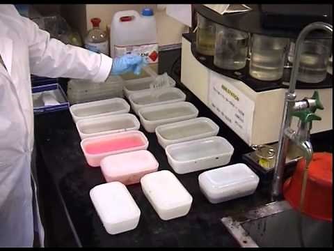 Tissue Processing For Light Microscopy