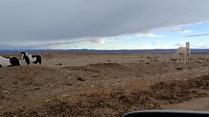 Fabian Defazio on Reels