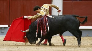 Tauromachie : pourquoi le réalisateur Albert Serra voit de l’art dans la mise à mort du taureau ? - RTBF Actus